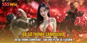 Đá Gà Thomo Campuchia - Sân Chơi Uy Tín Số 1 555WIN