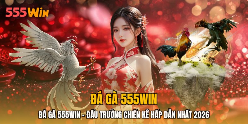 Đá Gà 555WIN - Đấu Trường Chiến Kê Hấp Dẫn Nhất 2026